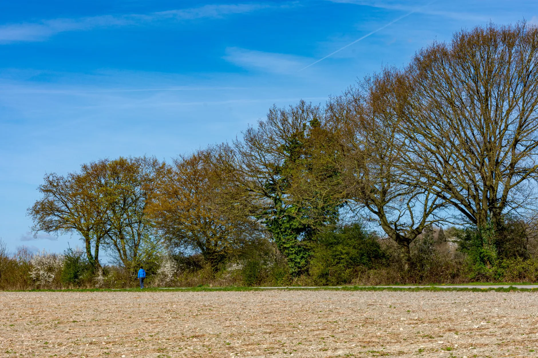 Birds of the River Deben Guided Walk at Sutton Hoo