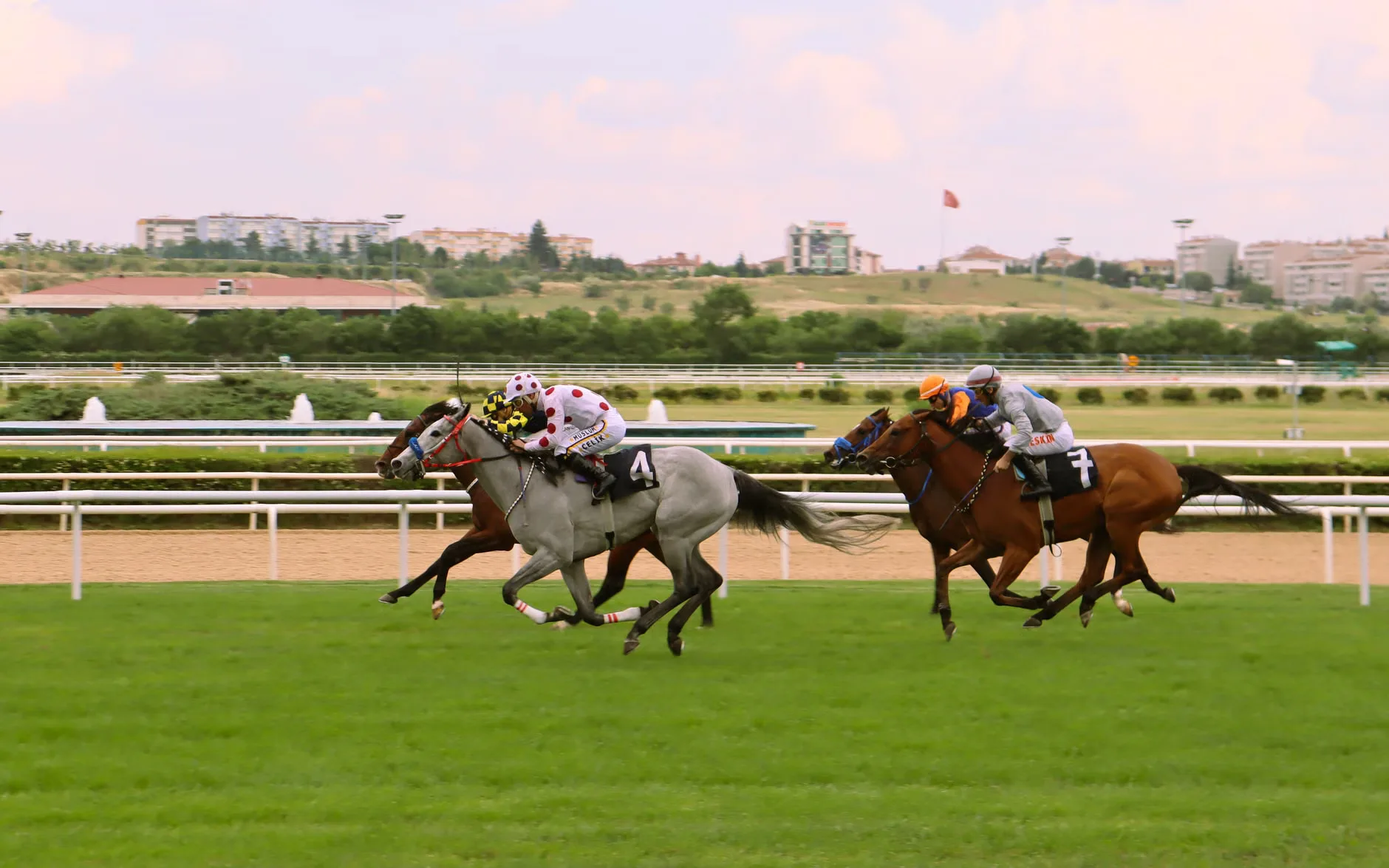 Durham National 2026 - Sedgefield Racecourse at Sedgefield Racecourse