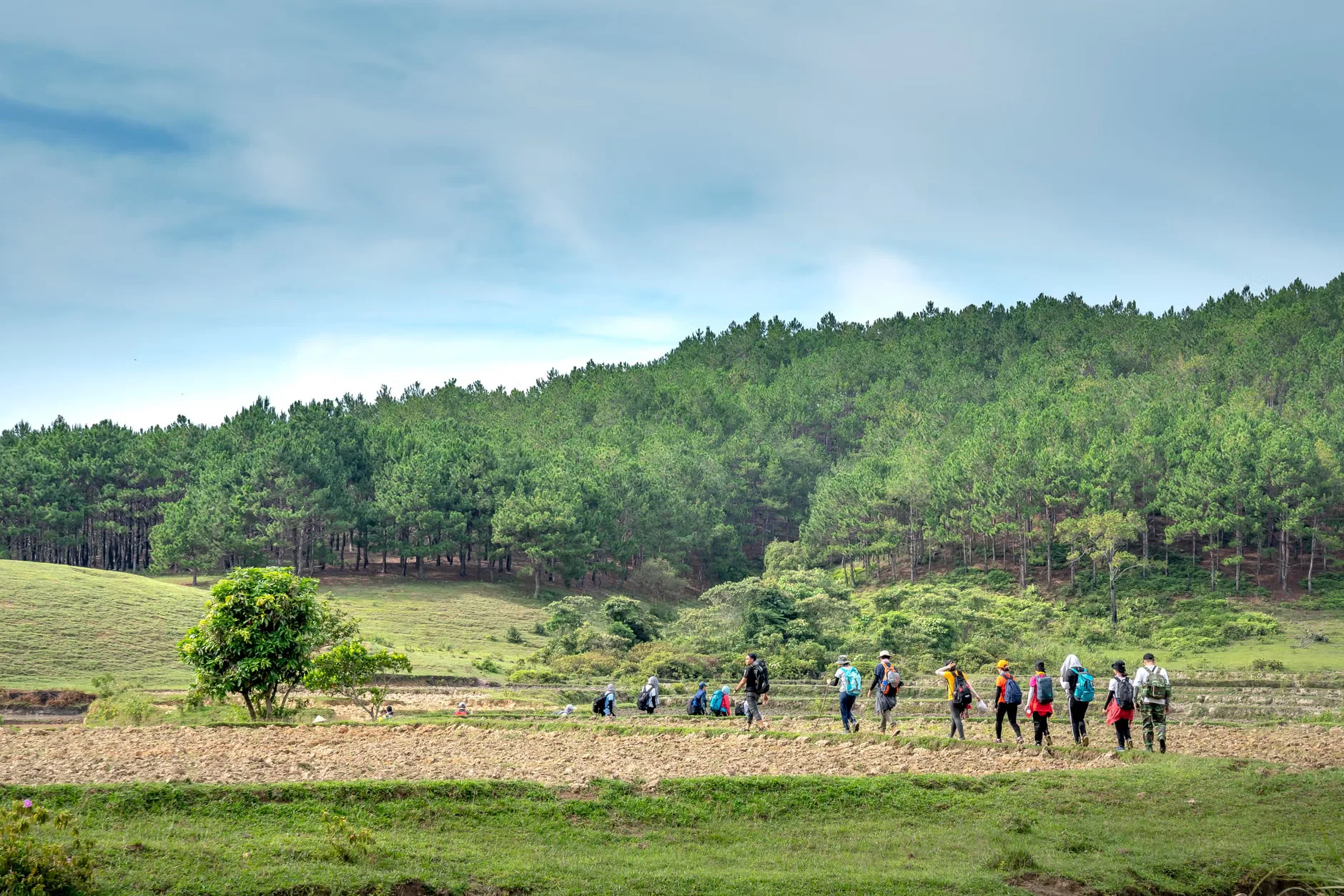Step Into History Walks - People Who Shaped the Parkland and Gardens