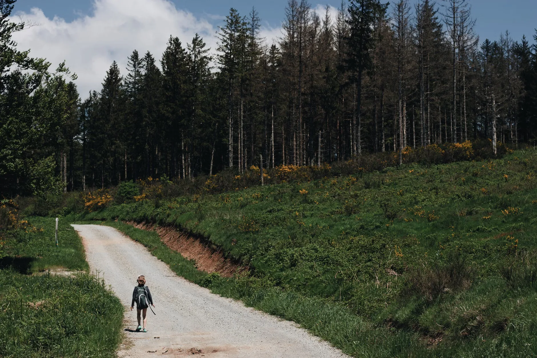 Lyke Wake Walk - W-E (guided/supported) at Osmotherley