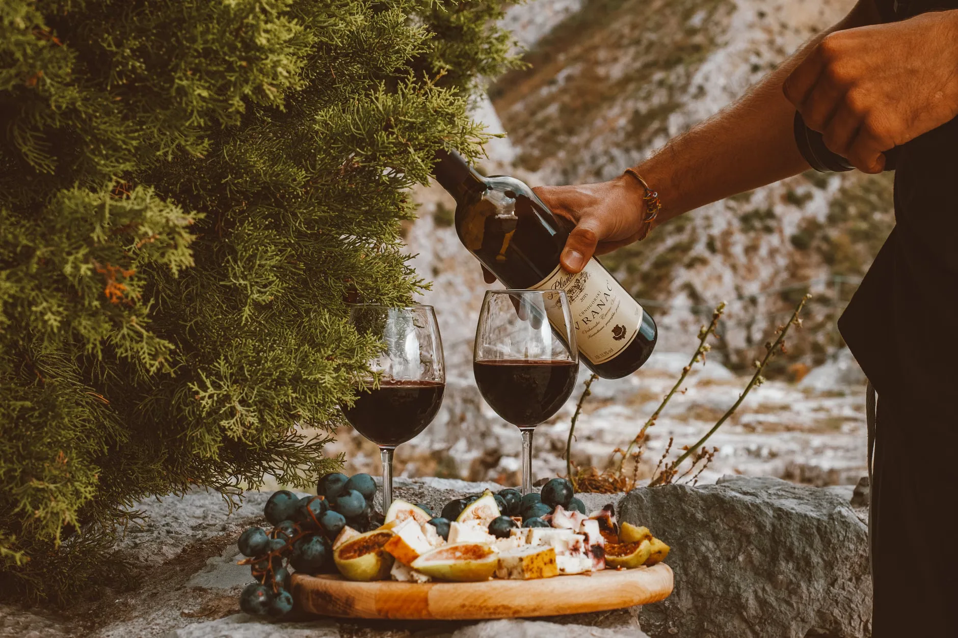 Vineyard tour and wine tasting at Stanlake Park Wine Estate