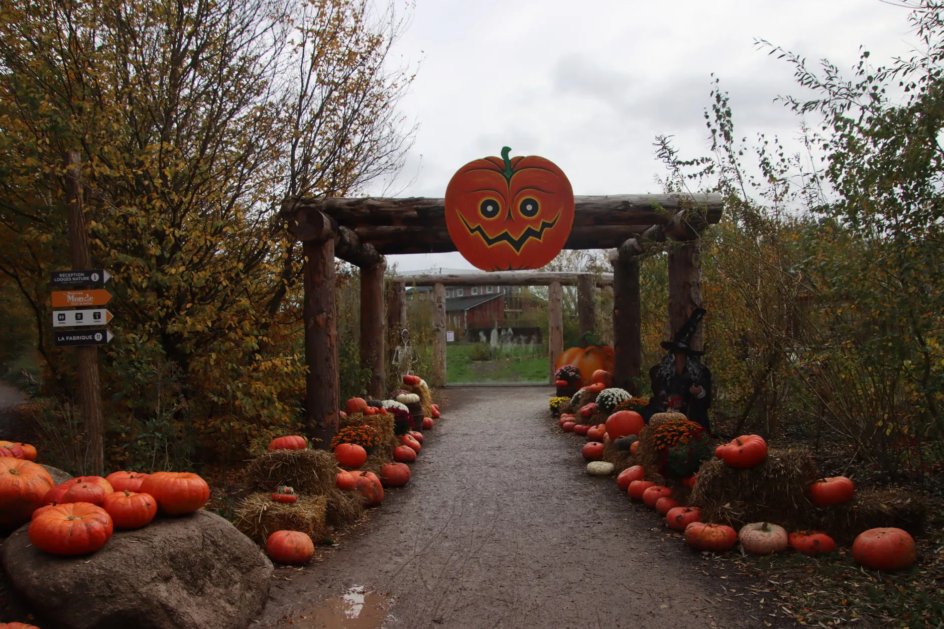 Halloween nature crafts