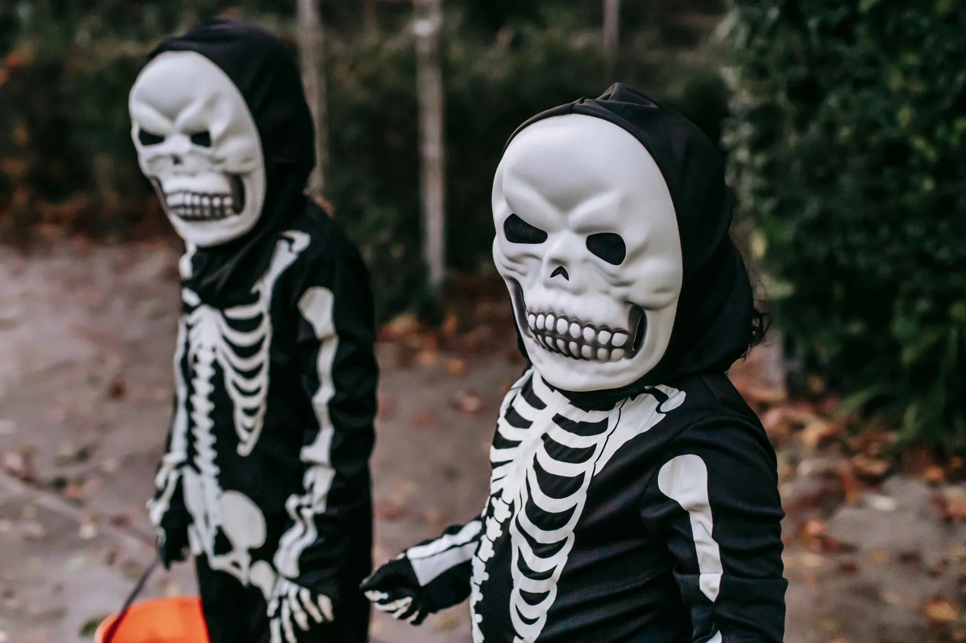 Halloween Events – 2026 at Waterford Treasures (Multiple Venues)