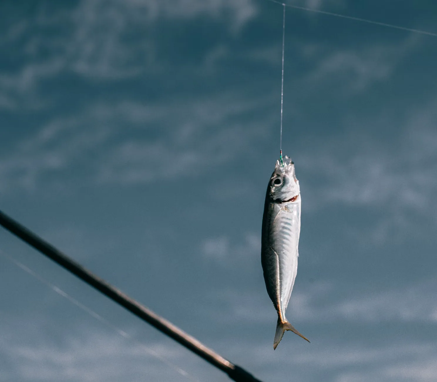 Intro to Fly Fishing