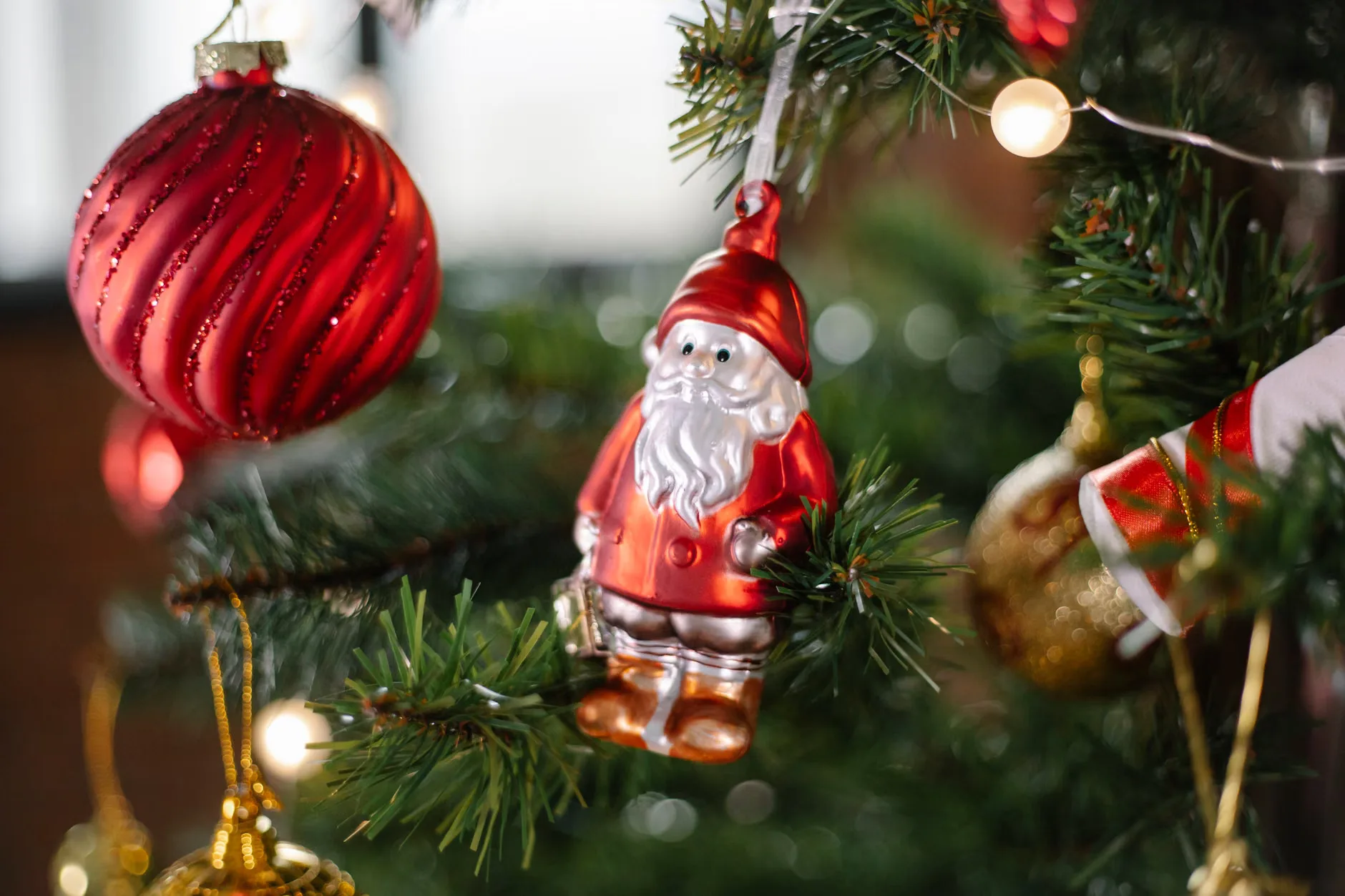 Light Up Trails This Christmas At Sir Harold Hillier Gardens at Sir Harold Hillier Gardens