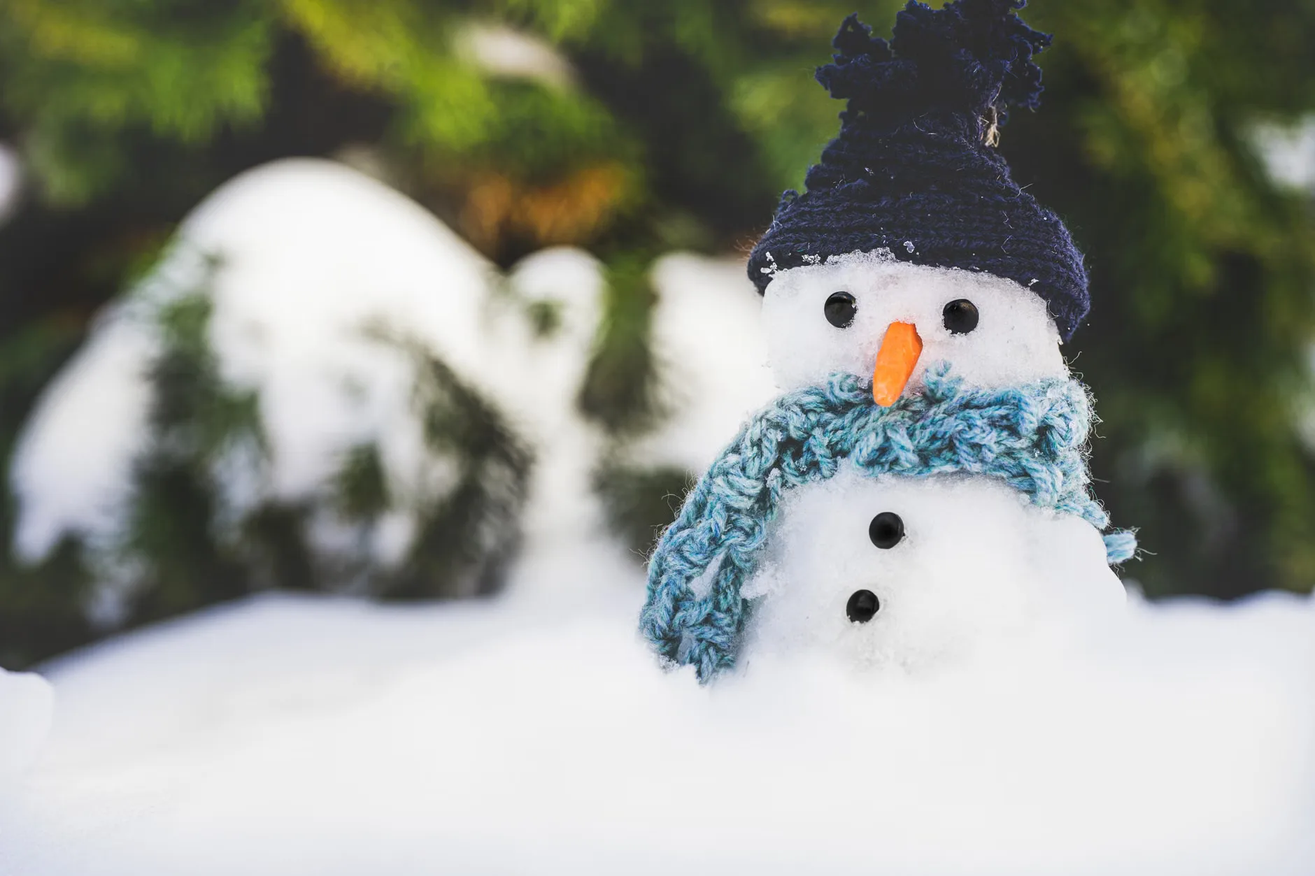 'The Snowman' film with live orchestra (2pm) at Chester Cathedral