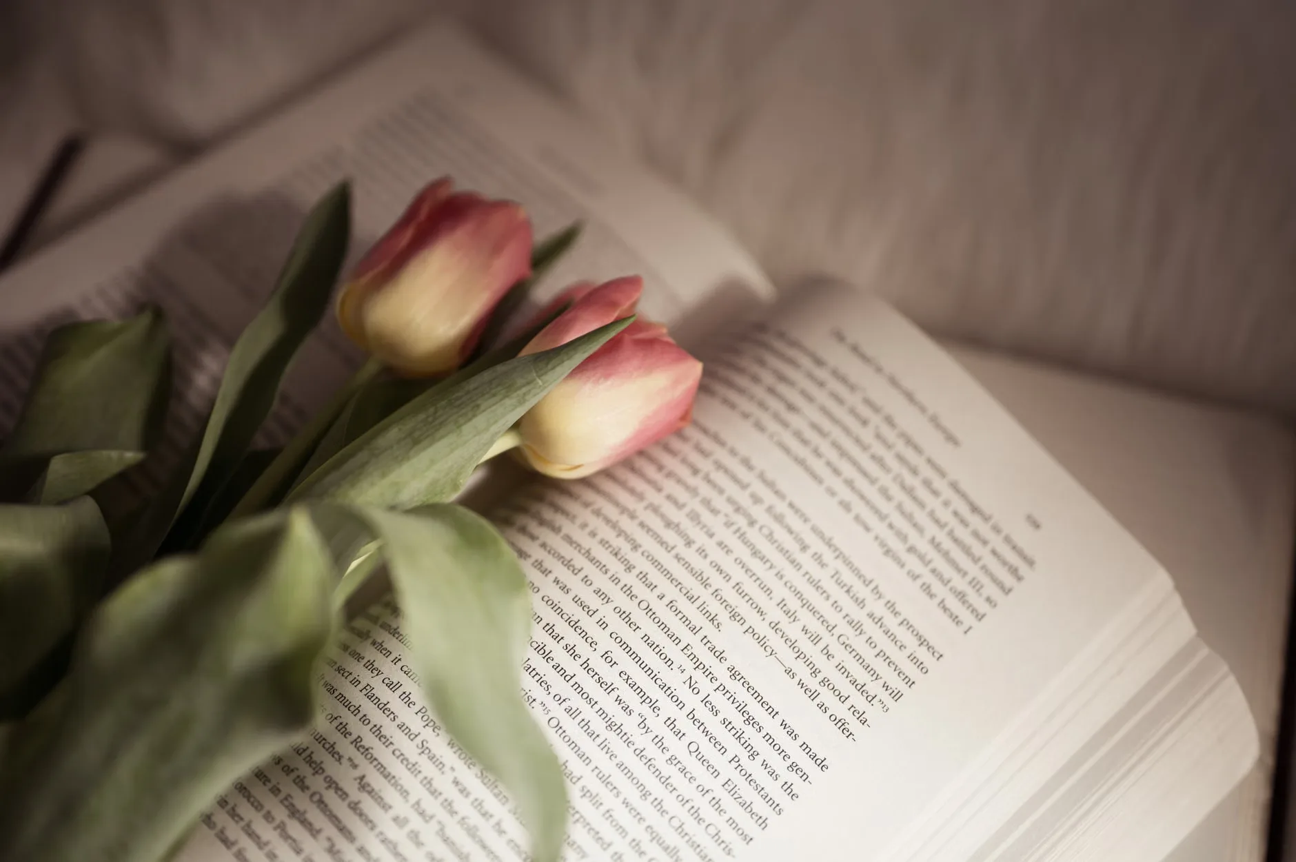 An Evening with Max Adams - Guildford at Waterstones