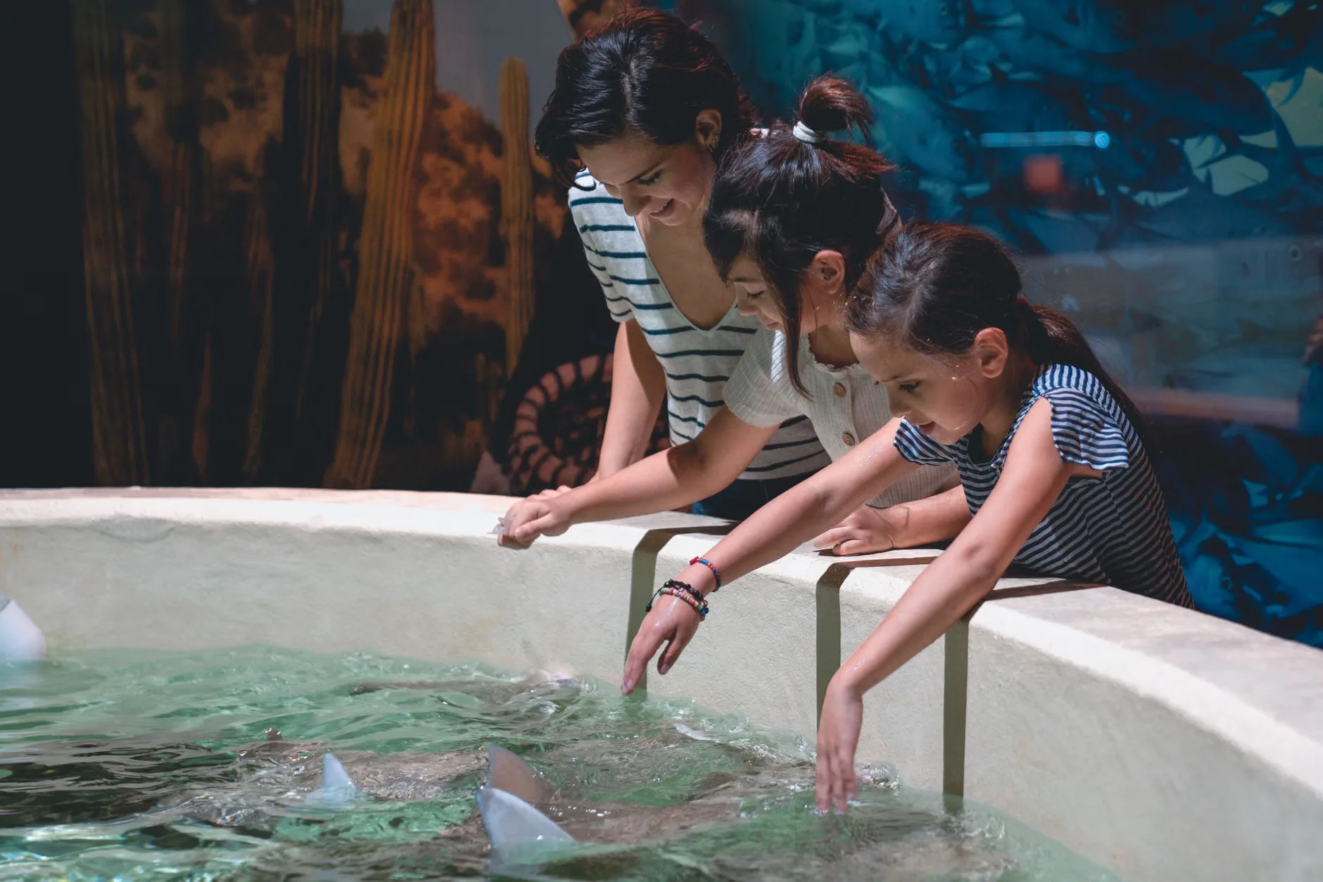 Sea Life London - Standard Entry