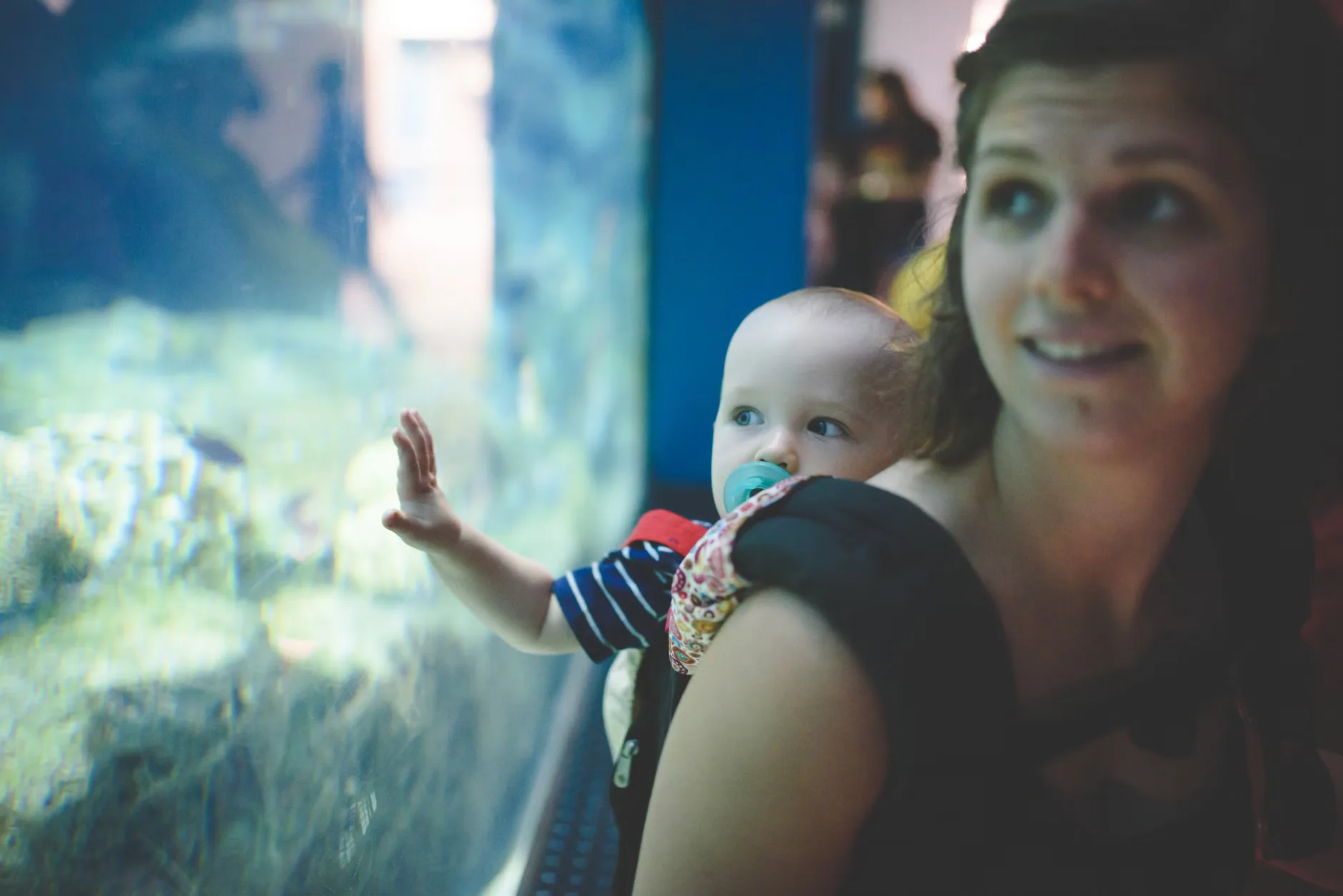 Sea Life Birmingham - Standard Entry