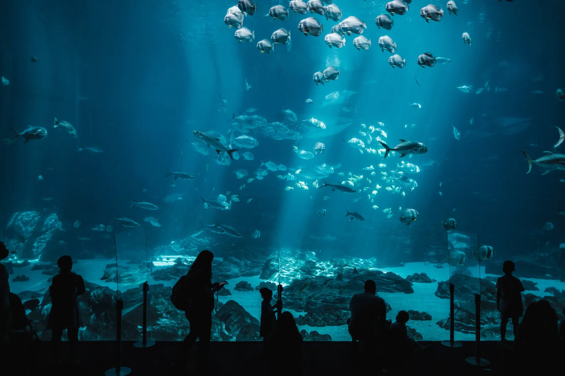 Sea Life Birmingham - Standard Entry