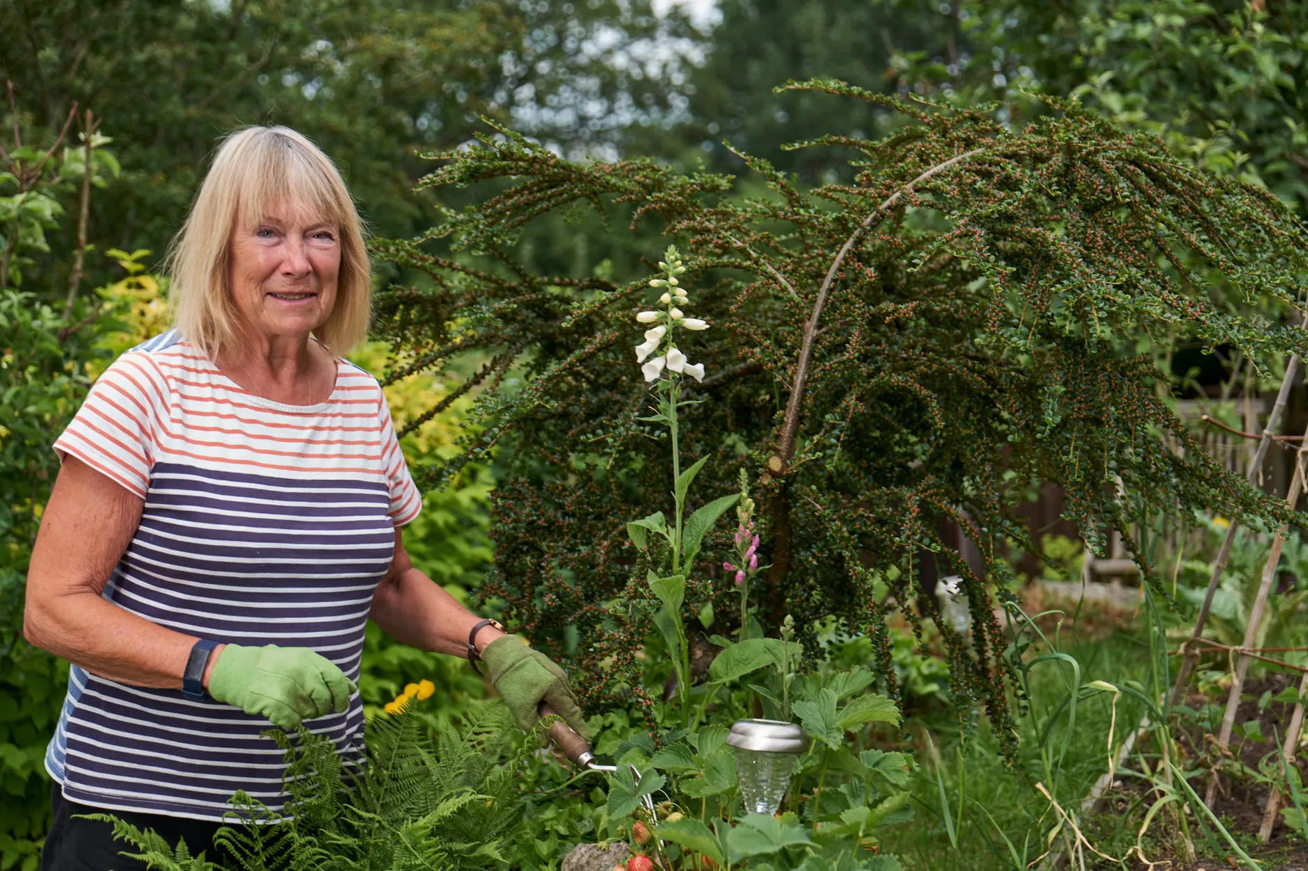Garden tours at Saltram at Saltram