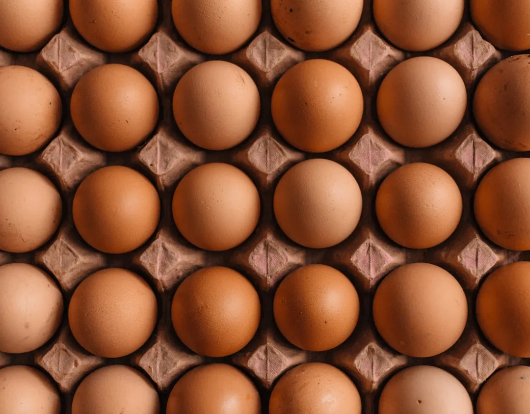 Egg LDN Pres: SUBVRS - Tech House, Deep Tech & Deep House