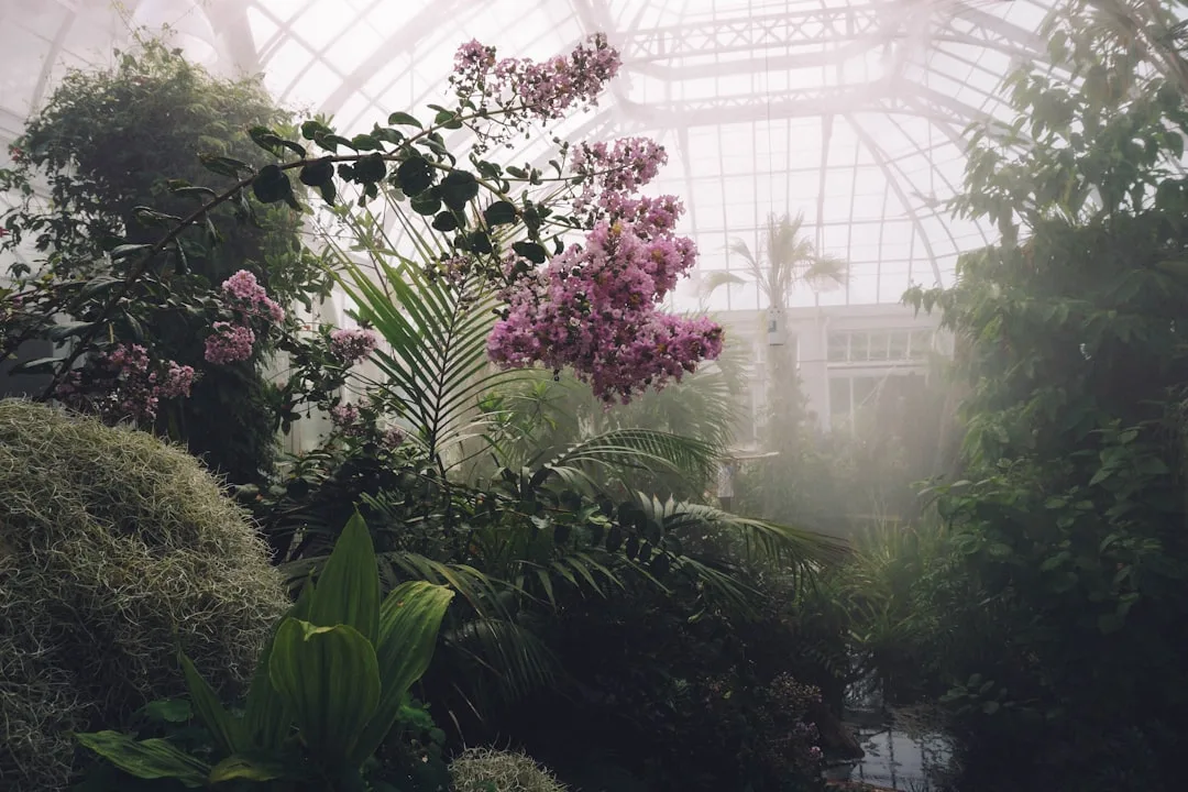 The Hothouse