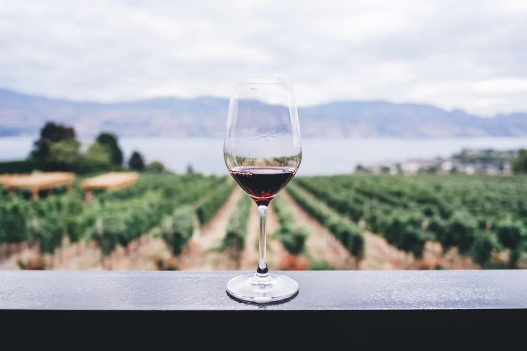 Relaxed walking wine tasting tour of Manchester's best wine spots at Emmeline Pankhurst Statue