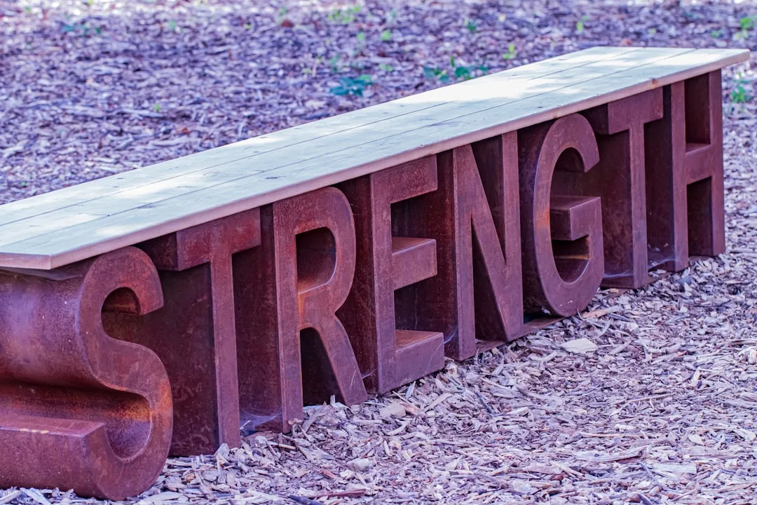 Find Your Strengths at Southmead Development Trust