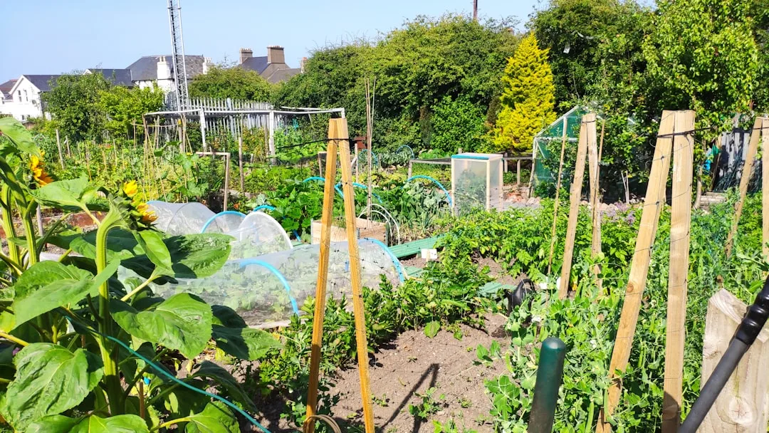 Community Gardening Group at Corbett Community Library