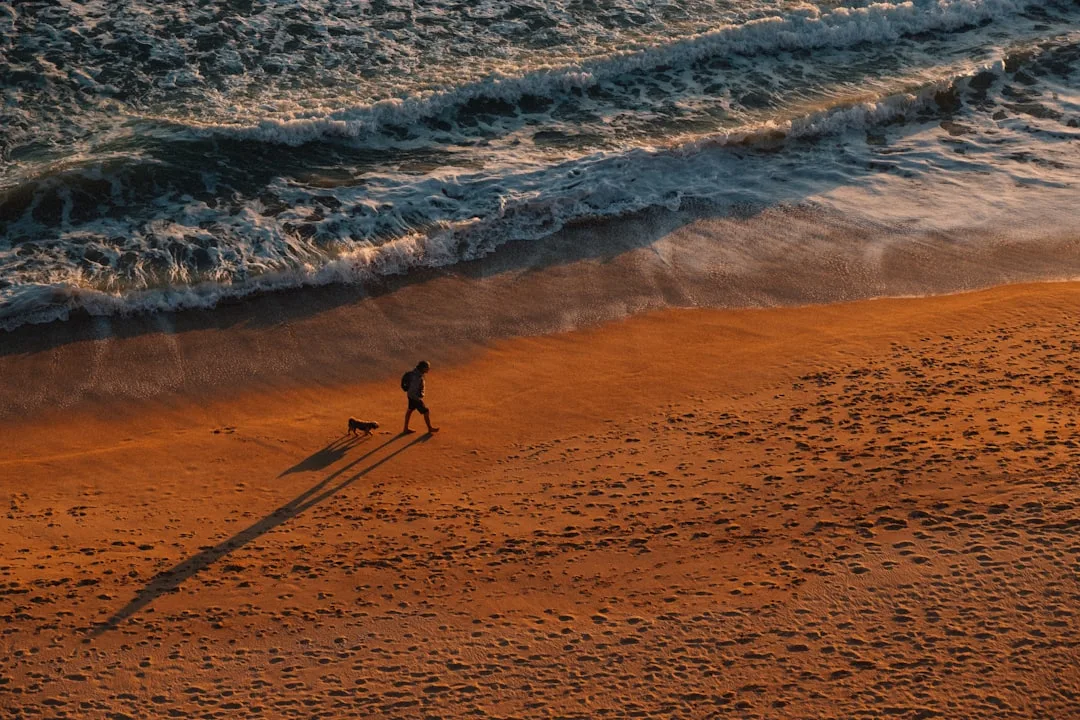 Sunset Walks