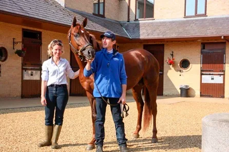 Thoroughbred Racehorse Training - Behind the Scenes Private VIP Experience at Newmarket
