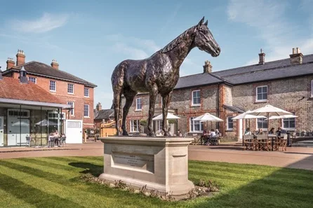 Ultimate Horse Racing Lover's Experience with Behind the Scenes Full Day Guided Tour for Two at Newmarket at Newmarket