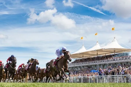 Ultimate One Night Horse Racing Break with Enclosure Tickets and Preview for Two — Windsor at Ascot