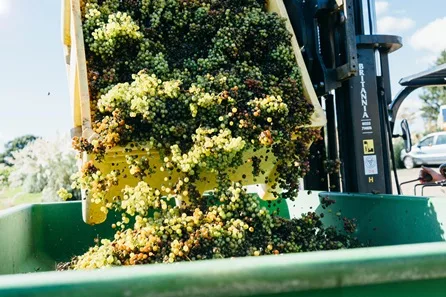 Vineyard Tour, Tasting and Lunch for Two at Framlingham