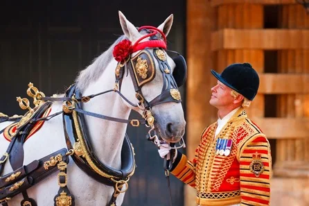 Visit to The Royal Mews at Buckingham Palace with Afternoon Tea at Harrods for Two at Buckingham Palace with Afternoon Tea at Harrods for Two