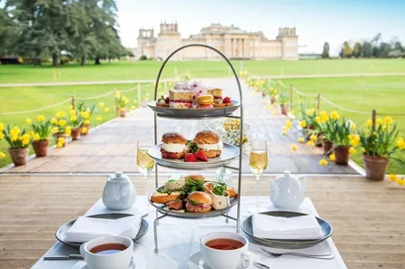 Visit to Blenheim Palace and Afternoon Tea in The Orangery for Two at Blenheim Palace
