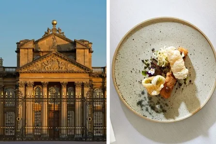 Visit to Blenheim Palace and Two Course Meal with Prosecco at the Macdonald Bear Hotel for Two at the Macdonald Bear Hotel for Two, Woodstock