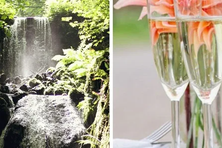 Visit to Canonteign Falls with Prosecco Cream Tea for Two at Exeter