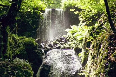 Visit to Canonteign Falls with Afternoon Tea for Two at Exeter