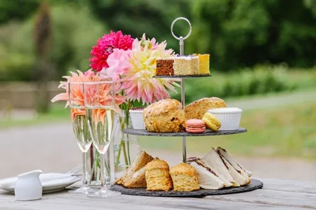 Visit To Canonteign Falls with Prosecco Afternoon Tea for Two at Exeter