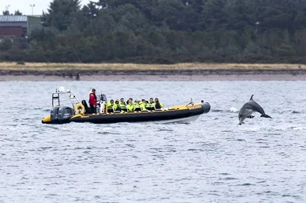 Wildlife and Dolphin Spotting Speedboat Trip for Two in the Moray Firth at Inverness
