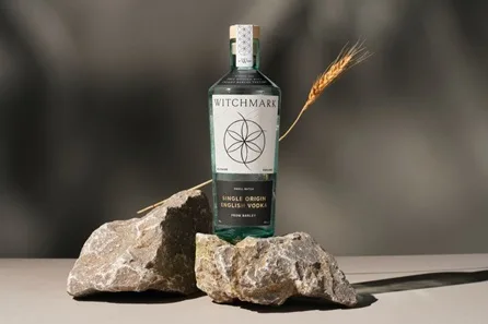 Witchmark Distillery Tour and Tasting at Salisbury