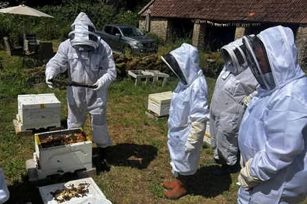 Bath Beekeeping Experience with Two Course Lunch for Two by Magees Bee's