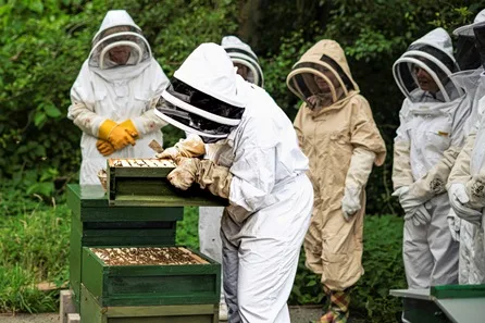 Bradgate Park Beekeeper Taster with Handmade Beeswax Candle at Leicester