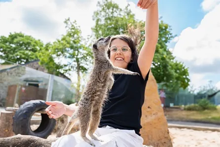 Camel Creek Family Adventure Park Junior Keeper Experience for Two at Wadebridge