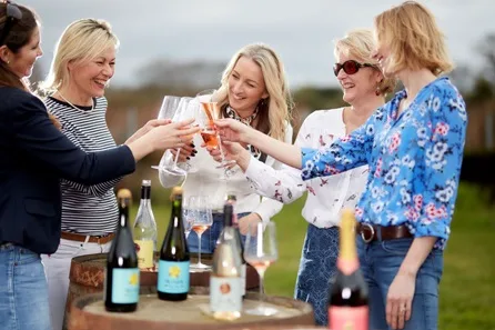 Chet Valley Vineyard Tour and Tasting for Two at Norwich