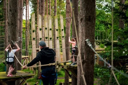 Family Tree Top Adventure for Two Adults and Two Children at Castlewood Holiday Park, Antrim at Castlewood Holiday Park, Antrim