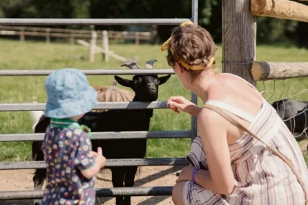 Family Visit to Bucklebury Farm and Lunch for Four at Reading