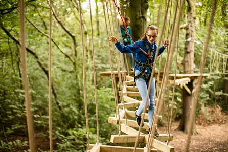 Full High Ropes Treetop Zip Trek and Nets Experience at Manchester