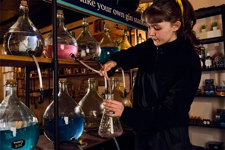 Gin Lab: Make your Own Gin with Greenwich Spirits at London