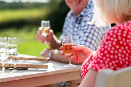 Guided Winery Tour, Tasting and Lunch for Two at Three Choirs Vineyard at Three Choirs Vineyard, Three Choirs Vineyards