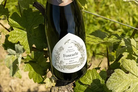 Henners Vineyard Tour and Tasting with Bottle of Luxury English Sparkling Wine for Two at Hailsham
