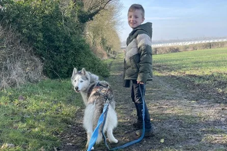 Hike with Huskies and Entry to Eagle Heights Wildlife Foundation for Two at Dartford