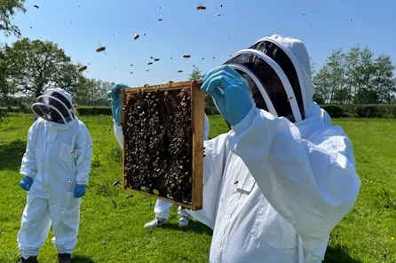 Hiver's Beekeeping Taster with Honey Tasting — London at Kennington