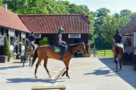 Horse Racing Lover's Experience with Behind the Scenes Half Day Guided Tour at Newmarket for Two at Newmarket for Two