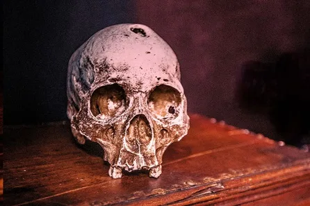 Immersive Escape Game: The Dentist for Two at Greater London