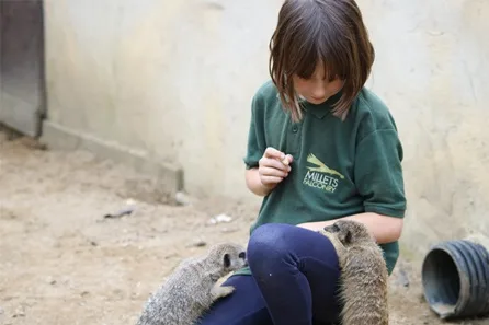 Millets Wildside Junior Animal Keeper Experience at Abingdon