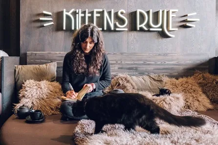 Kitten Café Lounge Access for Two at Java Whiskers, London at Java Whiskers, London