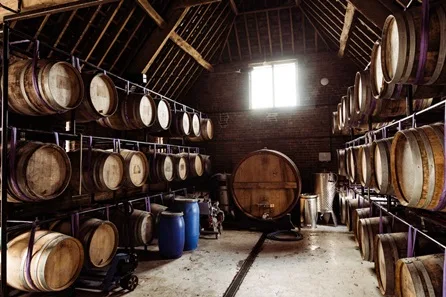 Langham Wine Estate Tour and Tasting for Two at Dorchester